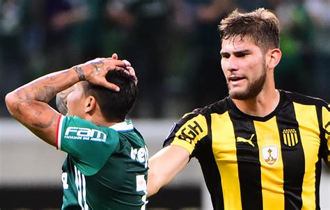 Internacional (29), palmeiras (22), santos (22). Palmeiras x Penãrol pela Libertadores: veja fotos - Gazeta ...