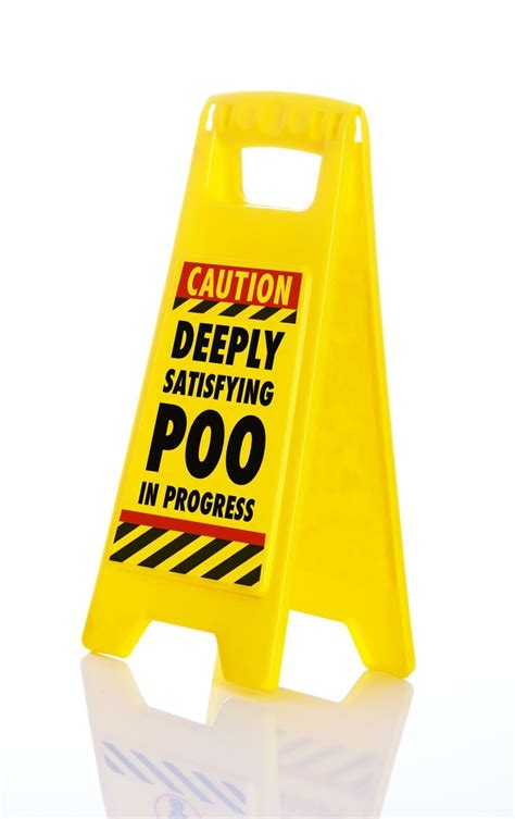 Feces, sometimes called poo poo. Deeply Satisfying Poo in Progress Funny Toilet Humour ...