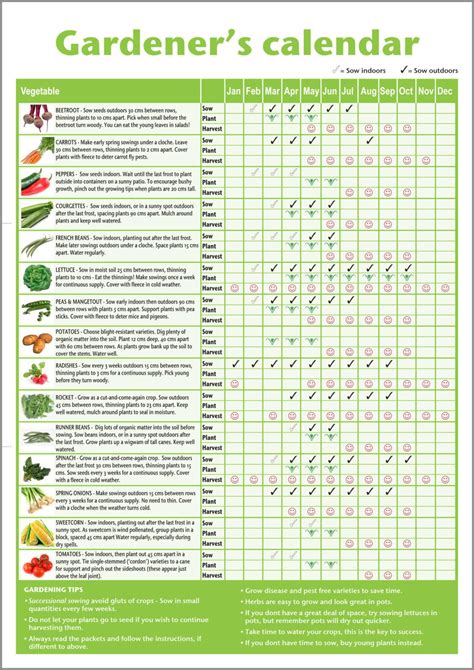 A3 Beginner Gardeners Vegetable Chartgardening Calendaryearly