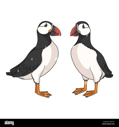 Colored Set Illustrations With Puffin Bird Isolated Vector Objects On