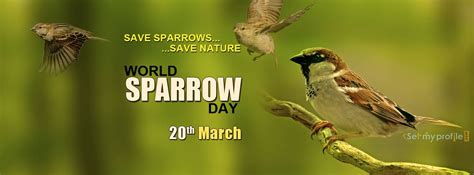 20 march, 2020 marked the tenth world sparrow day, with the theme 'i love sparrows'. 25+ Best World Sparrow Day Wish Pictures And Photos