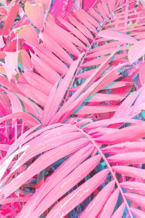 Maybe you would like to learn more about one of these? Sfondi Colori Pastello Rosa | Sfondier