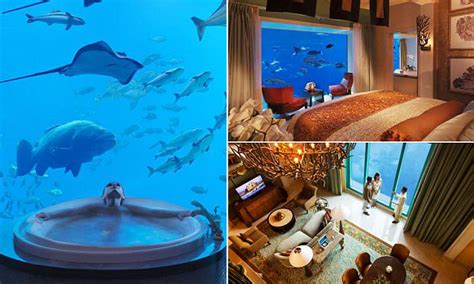 Inside Dubais Underwater Suites That Come With Views Into An Aquarium