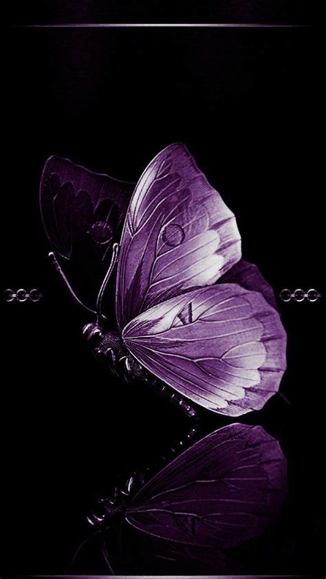 Dark Purple Butterfly Wallpapers Top Free Dark Purple Butterfly