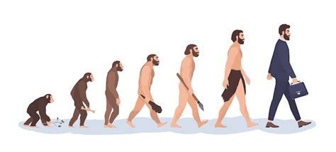 Conjunto De Siluetas De Evolución Humana Darwin Vector Gratis