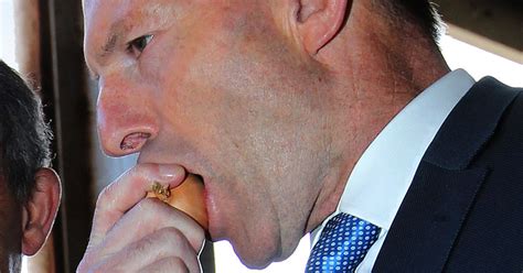 Tony Abbotts Long Demise The New Yorker