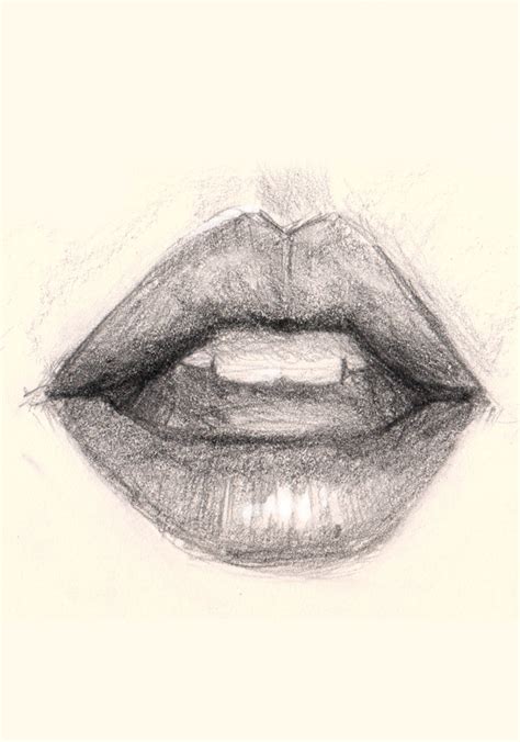 How To Draw A Realistic Lips