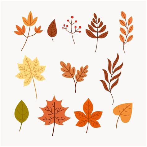 Free Vector Hand Drawn Autumn Leaves Collection