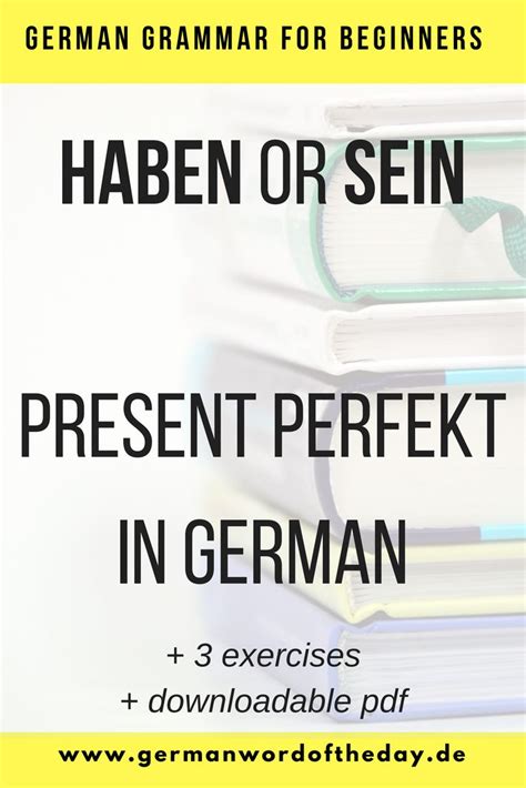 Haben Or Sein Present Perfect In German Basic German Learn German