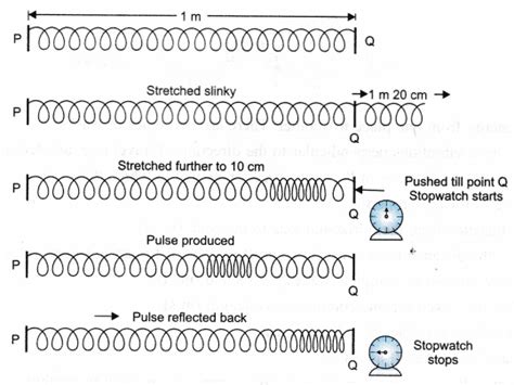 Ncert Class 9 Science Lab Manual Velocity Of A Pulse In Slinky Cbse