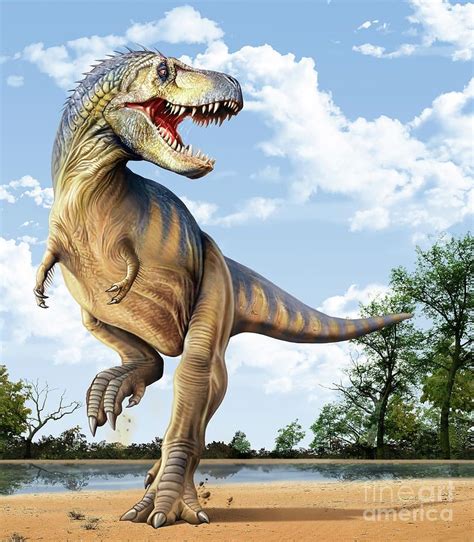 Tyrannosaurus Rex By Mohamad Haghani Prehistoric Wildlife Prehistoric World Prehistoric