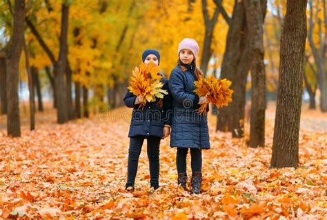 Children Playing With Yellow Maple Leaves In Autumn City Park Fall