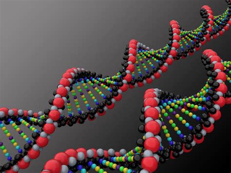 Issue 5 The Importance Of Zygosity Knowledge For Twins And Science