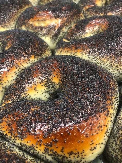 poppy seed bagels led to positive drug tests in pregnant nj women