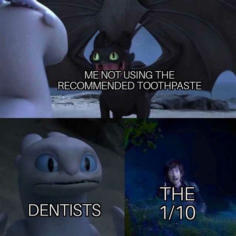 29 Funny Toothless Memes Thatll Help You Train Your Dragon How Train