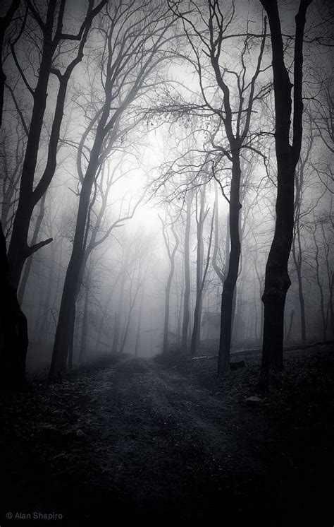 Pin By Brenda B On Creepyhalloween Dark Photography Mystical Forest
