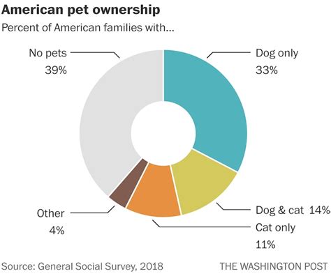 Dog Vs Cat New Data Show Which Pet Brings You More Joy The