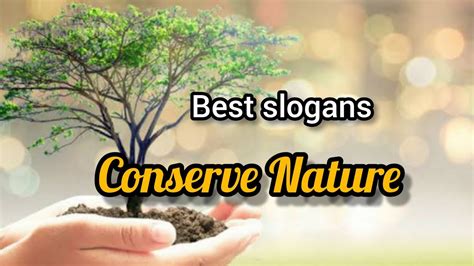 Best 10 Slogans On World Nature Conservation Day 2022 Nature
