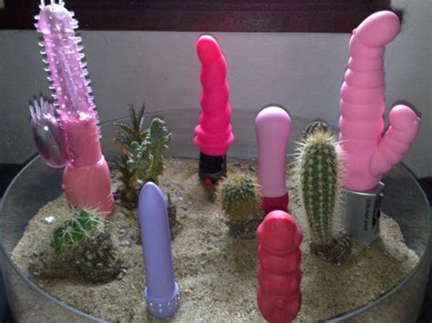 Heres A Cactus Carrie Purner Makes Me Giggle Funny