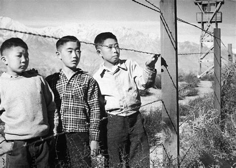 japanese americans internment of liberal dictionary