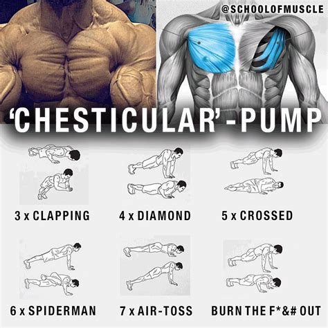 3 Simple Steps For Building Muscle Mass Chest Workouts Best Chest
