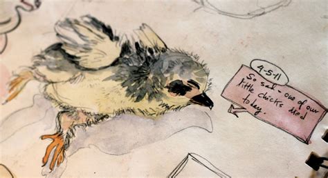 Cool drawing ideas inspired by the imagination. Sketchbook Thursday: on drawing dead things ...