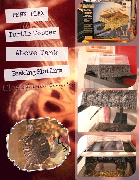 Penn Plax Turtle Topper Above Tank Basking Platform From Chewy Com