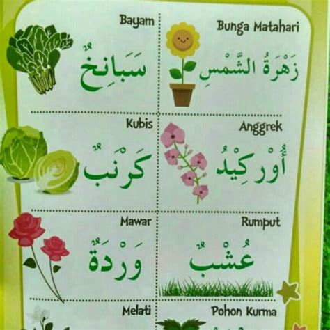 Nama Bunga Dalam Bahasa Arab Dan Artinya