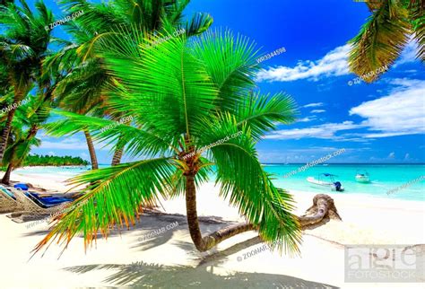 Paradise Beach Beautiful White Sand With Palm Tree On A Blue Sky
