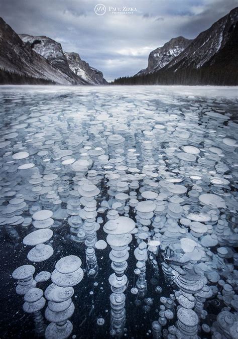 Photos Frozen Bubbles Make Alberta Lake Pop For Photographer