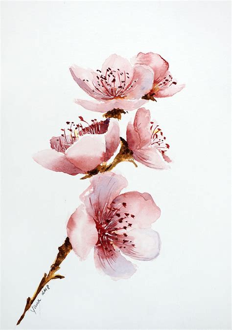How To Paint Cherry Blossom In Watercolor Step By Step Guide To