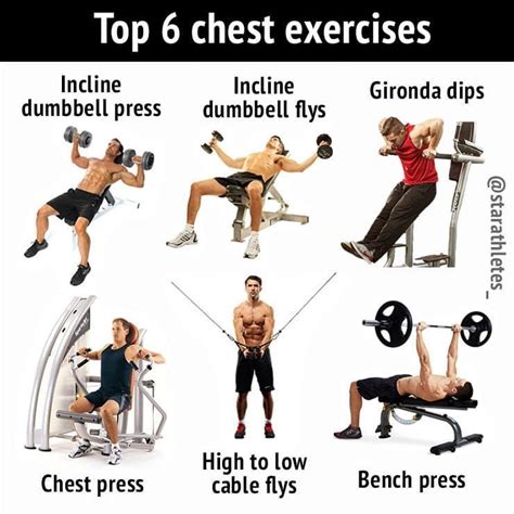 Because Your Chest Includes Some Of The Largest Muscles In The Upper