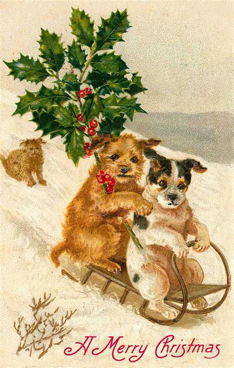 Vintage Holiday Graphics Christmas Cards Featuring Dogs