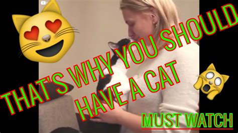 Thats Why You Should Have A Pet Cat ♥♥ Cutest Hd Compilation Ever