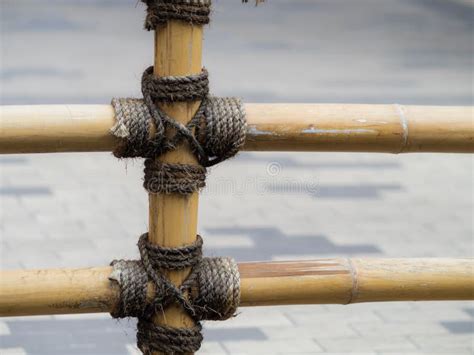 413 Fence Bamboo Rope Tied Stock Photos Free And Royalty Free Stock