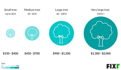 Inspect dangerously leaning trees before removal to determine how to cut it down. 2020 Tree Removal Cost | Cost to Cut Down a Tree
