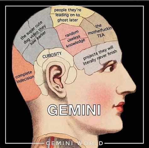 Funny Gemini Memes That Totally Get The Vibes Being A Gemini
