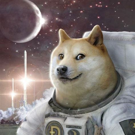 Doge 1080x1080 1 Tons Of Awesome 1080x1080 Wallpapers To Download