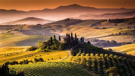 Vinyard And Mountains In Tuscany Italy Uhd 4k Wallpaper Pixelz