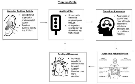 Tinnitus Clinic Audiology Cuh