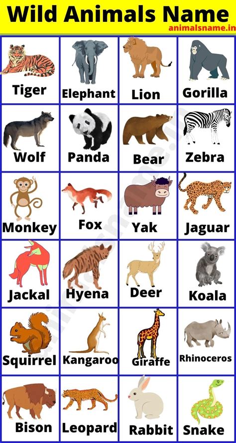100 Animals Name In English With Picture