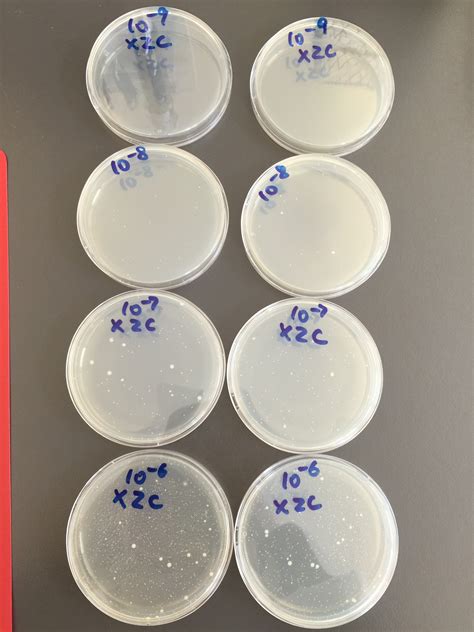 Advantages And Disadvantages Of The Serial Dilution Agar Plate Technique