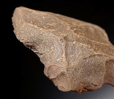 Earliest Known Arrowhead Large Middle Paleolithic Aterian Tanged