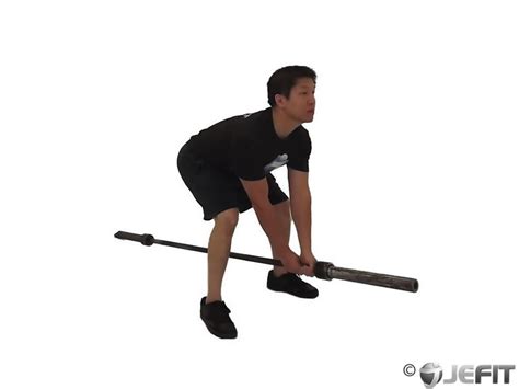 Barbell Bent Over Two Arm Row Exercise Database Jefit