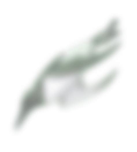 Berwickshire Ocean Observatory - Your portal to Berwickshire’s