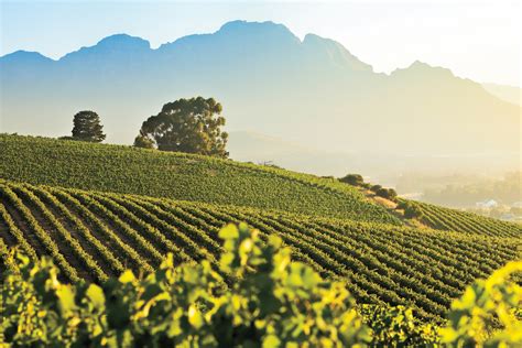 Stellenbosch The Wine Capital Of Africa Outlook