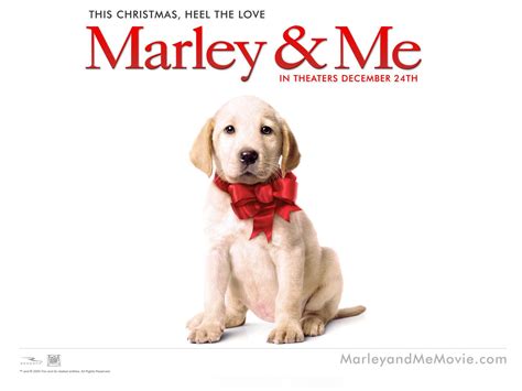 The film stars owen wilson and jennifer aniston as the owners of marley, a labrador retriever. Top 15 Best Dog Movies Ever That Everyone Should Watch
