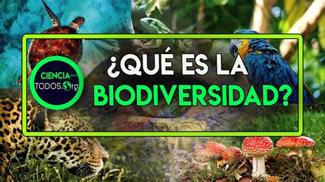 Qué Es La Biodiversidad Ciencia Tecnología Y Educación