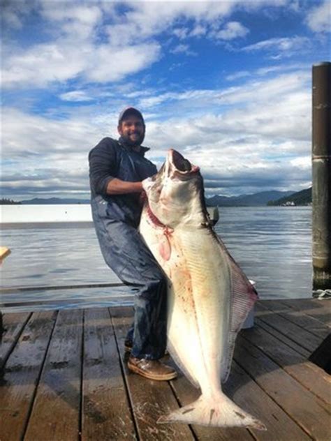 See more ideas about alaska, prince of wales, wales. Alaska Halibut Fishing Prince of Wales Island - Picture of Tranquil Charters, Craig - TripAdvisor