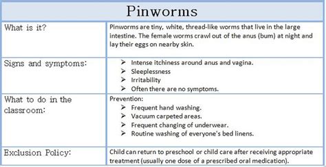 Pinworms Common Diseases In Childcare Services